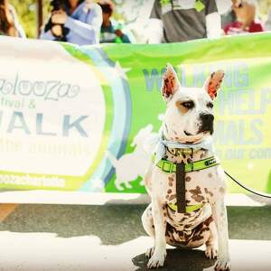 Team Page: The Crate Escape